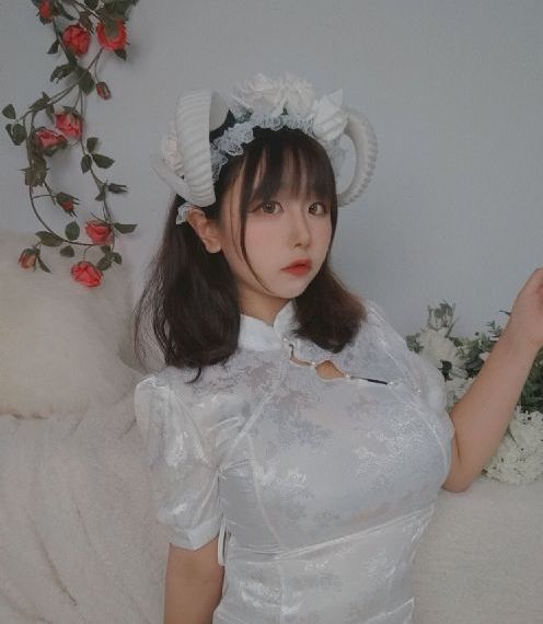 动感之星全集